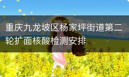重庆九龙坡区杨家坪街道第二轮扩面核酸检测安排