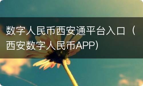 数字人民币西安通平台入口（西安数字人民币APP）