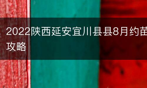 2022陕西延安宜川县县8月约苗攻略