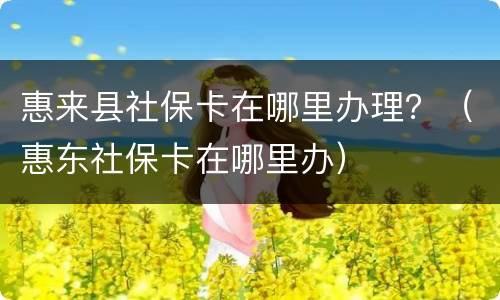 惠来县社保卡在哪里办理？（惠东社保卡在哪里办）