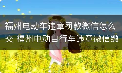福州电动车违章罚款微信怎么交 福州电动自行车违章微信缴费