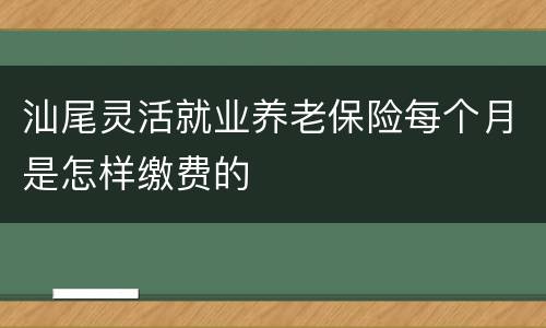 汕尾灵活就业养老保险每个月是怎样缴费的