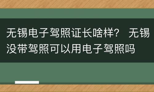 无锡电子驾照证长啥样？ 无锡没带驾照可以用电子驾照吗