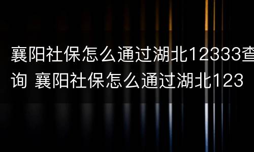 襄阳社保怎么通过湖北12333查询 襄阳社保怎么通过湖北12333查询缴费记录