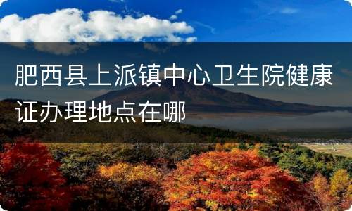 肥西县上派镇中心卫生院健康证办理地点在哪