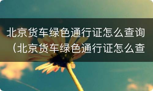 北京货车绿色通行证怎么查询（北京货车绿色通行证怎么查询办理进度）