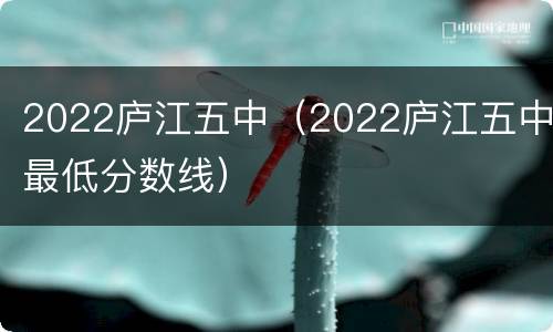 2022庐江五中（2022庐江五中最低分数线）