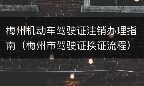 梅州机动车驾驶证注销办理指南（梅州市驾驶证换证流程）