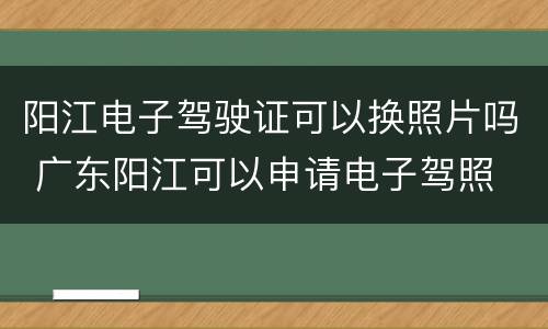 阳江电子驾驶证可以换照片吗 广东阳江可以申请电子驾照