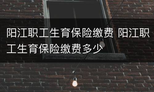 阳江职工生育保险缴费 阳江职工生育保险缴费多少