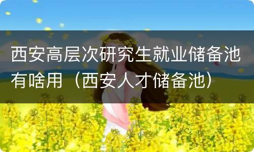 西安高层次研究生就业储备池有啥用（西安人才储备池）