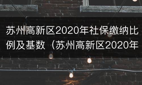 苏州高新区2020年社保缴纳比例及基数（苏州高新区2020年社保缴纳比例及基数表）