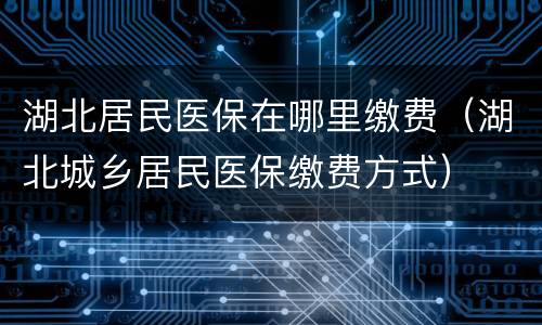 湖北居民医保在哪里缴费（湖北城乡居民医保缴费方式）
