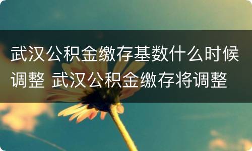 武汉公积金缴存基数什么时候调整 武汉公积金缴存将调整