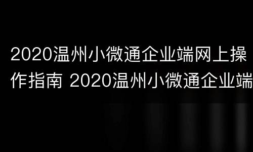 2020温州小微通企业端网上操作指南 2020温州小微通企业端网上操作指南下载
