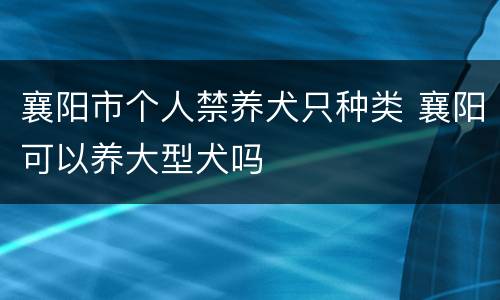 襄阳市个人禁养犬只种类 襄阳可以养大型犬吗