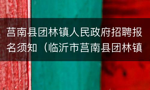 莒南县团林镇人民政府招聘报名须知（临沂市莒南县团林镇）