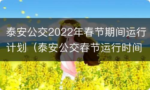 泰安公交2022年春节期间运行计划（泰安公交春节运行时间2020）