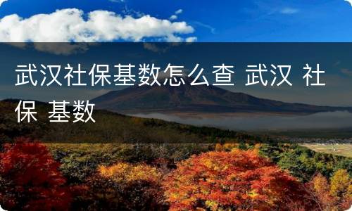 武汉社保基数怎么查 武汉 社保 基数