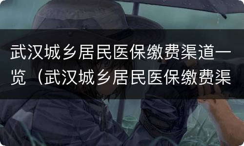 武汉城乡居民医保缴费渠道一览（武汉城乡居民医保缴费渠道一览表查询）