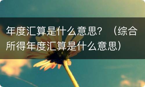 年度汇算是什么意思？（综合所得年度汇算是什么意思）