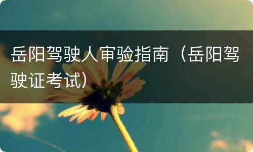 岳阳驾驶人审验指南（岳阳驾驶证考试）