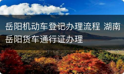岳阳机动车登记办理流程 湖南岳阳货车通行证办理