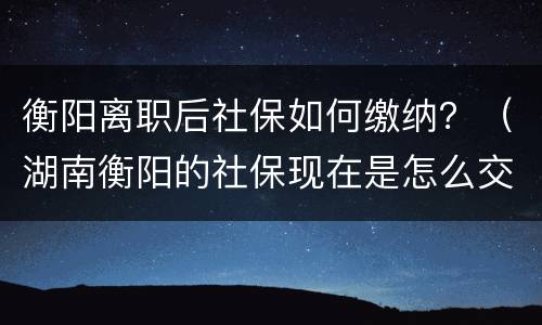 衡阳离职后社保如何缴纳？（湖南衡阳的社保现在是怎么交法）