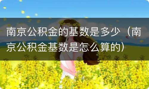南京公积金的基数是多少（南京公积金基数是怎么算的）