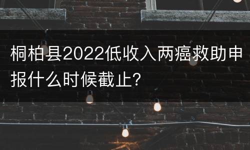 桐柏县2022低收入两癌救助申报什么时候截止？