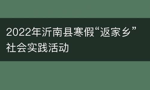 2022年沂南县寒假“返家乡”社会实践活动