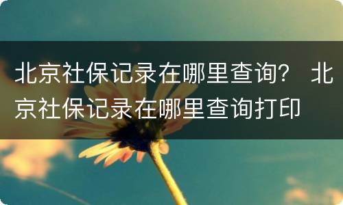 北京社保记录在哪里查询？ 北京社保记录在哪里查询打印