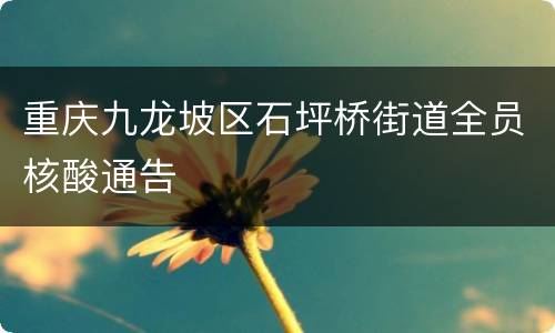 重庆九龙坡区石坪桥街道全员核酸通告