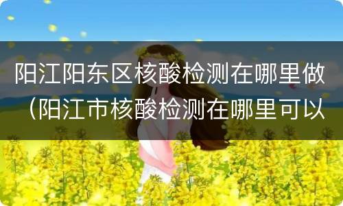 阳江阳东区核酸检测在哪里做（阳江市核酸检测在哪里可以做）