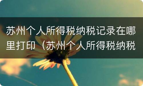 苏州个人所得税纳税记录在哪里打印（苏州个人所得税纳税清单在哪里打印）