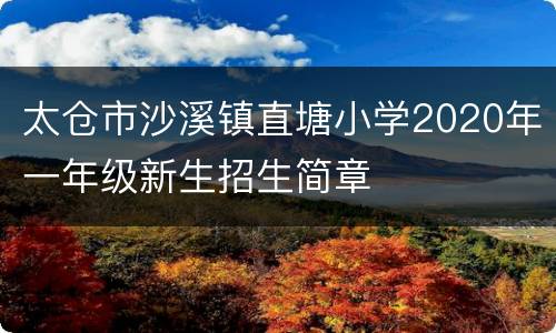 太仓市沙溪镇直塘小学2020年一年级新生招生简章