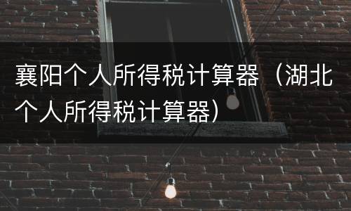 襄阳个人所得税计算器（湖北个人所得税计算器）