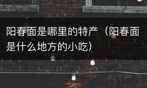 阳春面是哪里的特产（阳春面是什么地方的小吃）