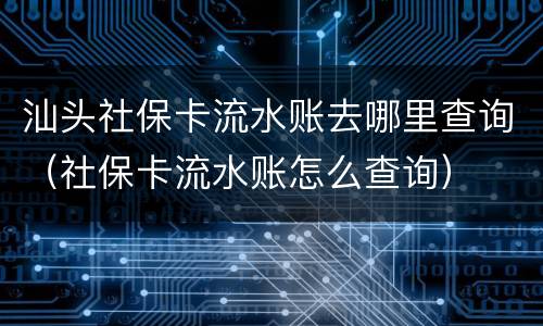 汕头社保卡流水账去哪里查询（社保卡流水账怎么查询）