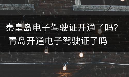 秦皇岛电子驾驶证开通了吗？ 青岛开通电子驾驶证了吗