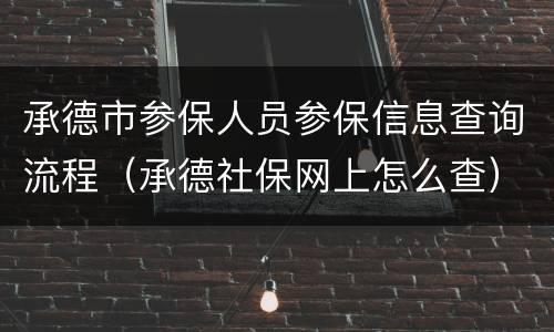 承德市参保人员参保信息查询流程（承德社保网上怎么查）