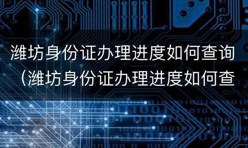 潍坊身份证办理进度如何查询（潍坊身份证办理进度如何查询的）