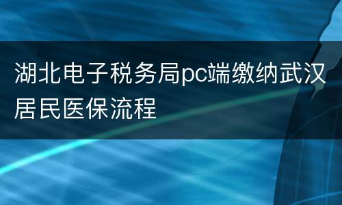 湖北电子税务局pc端缴纳武汉居民医保流程