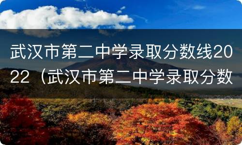 武汉市第二中学录取分数线2022（武汉市第二中学录取分数线）