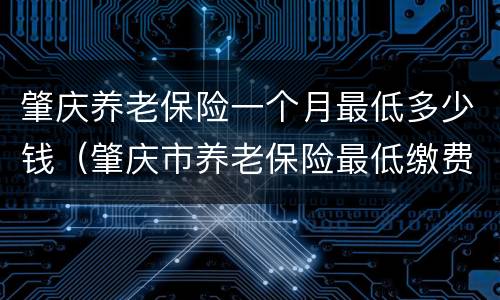 肇庆养老保险一个月最低多少钱（肇庆市养老保险最低缴费工资）
