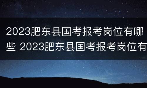 2023肥东县国考报考岗位有哪些 2023肥东县国考报考岗位有哪些人
