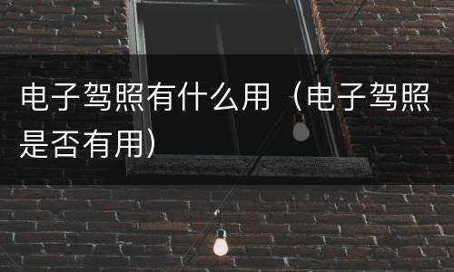 电子驾照有什么用（电子驾照是否有用）