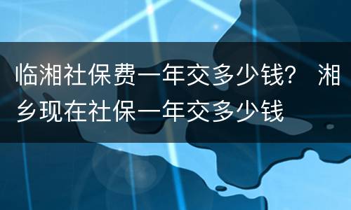 临湘社保费一年交多少钱？ 湘乡现在社保一年交多少钱