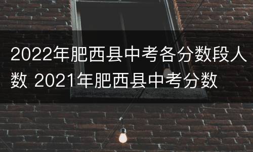 2022年肥西县中考各分数段人数 2021年肥西县中考分数