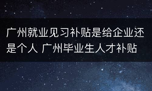 广州就业见习补贴是给企业还是个人 广州毕业生人才补贴